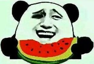 我只是吃瓜的人,我只是吃瓜的人生