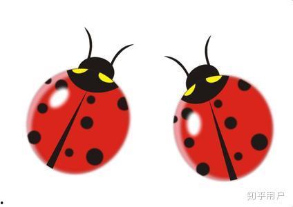 瓢虫吃瓜,自然界的和谐共生