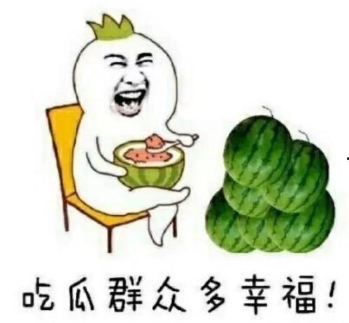快乐吃瓜er