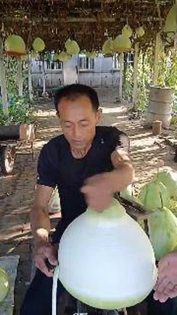 瓜哥吃瓜找不到东西,一场奇妙的寻物之旅