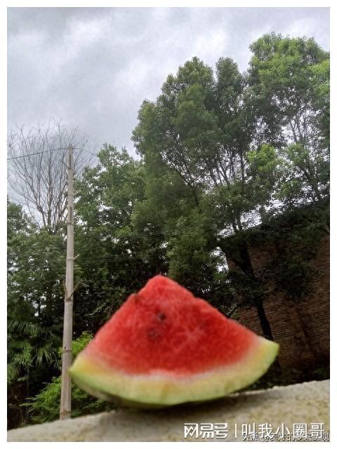 瓜哥吃瓜找不到东西,一场奇妙的寻物之旅