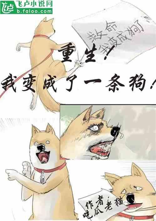 小说吃瓜的邻居