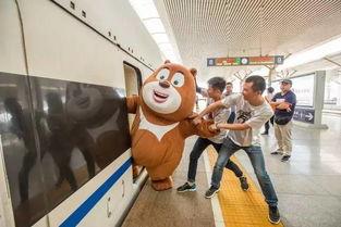 图片熊二吃瓜,瓜果飘香乐翻天