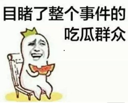 段世航吃瓜,揭秘娱乐圈幕后故事