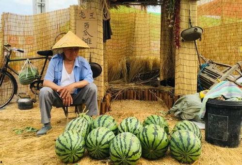 临沂吃瓜的地方,寻味休闲好去处