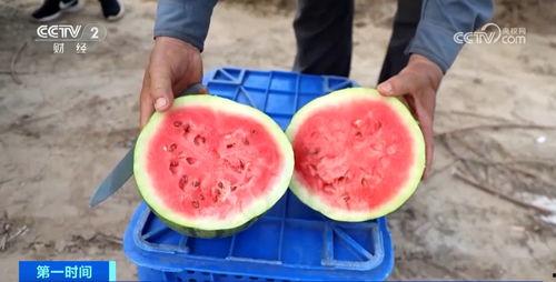 富一代吃瓜,揭秘豪门背后的八卦风云