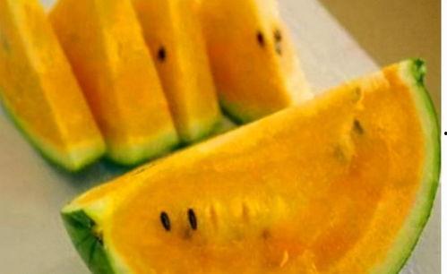 富一代吃瓜,揭秘豪门背后的八卦风云