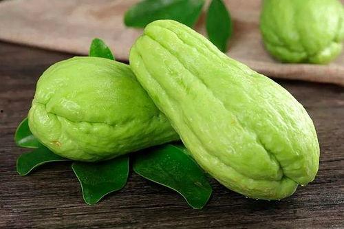 鹿苑吃瓜,一场吃瓜盛宴背后的故事