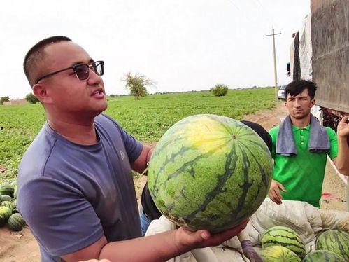 吃瓜专用照片,揭秘那些令人捧腹的吃瓜瞬间