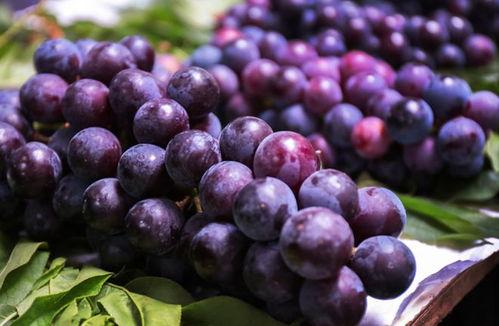 葡萄梨瓜能一起吃吗