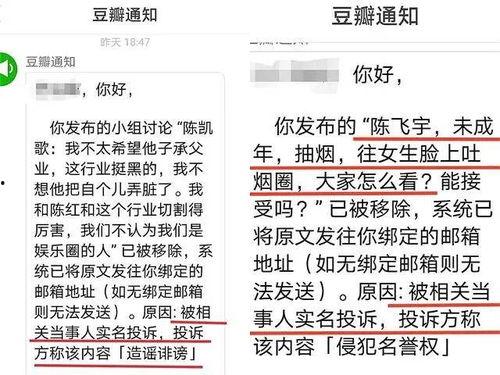 吃瓜网举报,揭秘网络舆论监督的力量