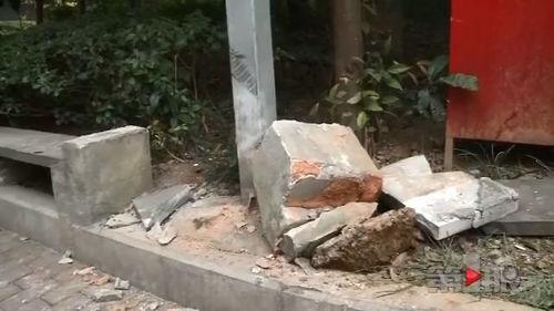 单吃车瓜,探寻夏日消暑美食之旅