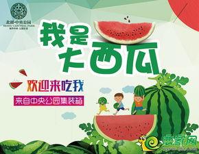 北湖最新吃瓜事件,揭秘最新吃瓜事件背后的真相