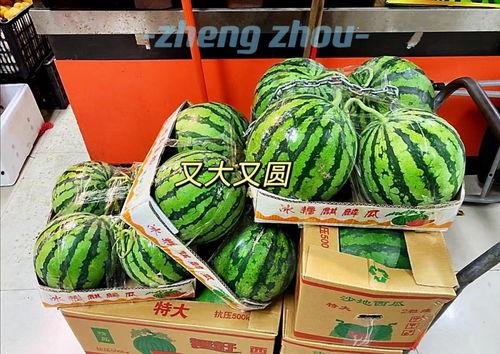 吃瓜最新事件郑州,揭秘近期热点事件背后的真相