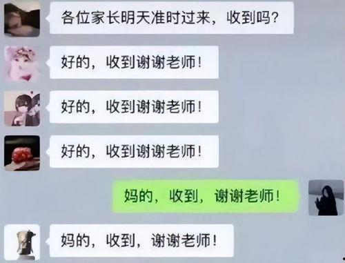 网络各种吃瓜事件,揭秘娱乐圈幕后真相与趣味瞬间