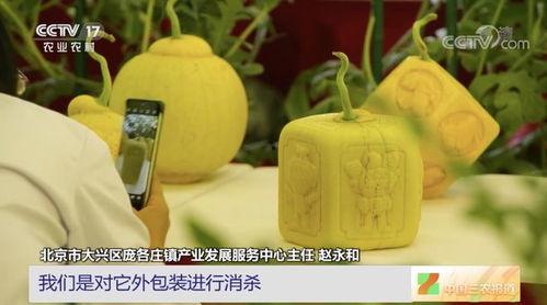 云时吃瓜,揭秘网络时代的娱乐现象