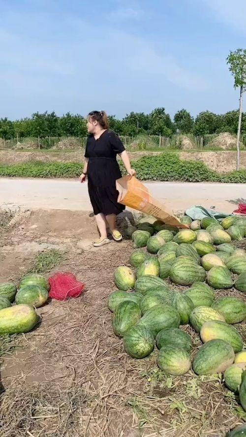 重生农村下乡吃瓜