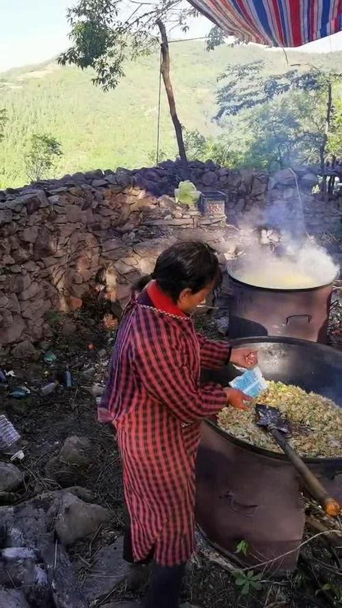 重生农村下乡吃瓜