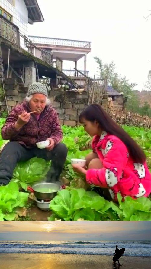 重生农村下乡吃瓜