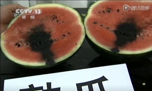 吃瓜视频柬埔寨,吃瓜视频带你领略东南亚风情