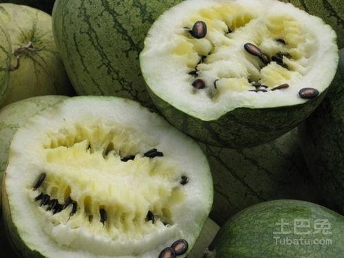 偷瓜不成吃籽瓜怎么办,意外收获的智慧启示