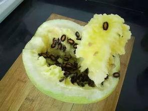 偷瓜不成吃籽瓜怎么办,意外收获的智慧启示