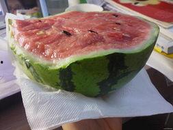 吃瓜吃到一半的瓜