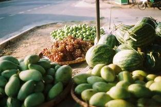 吃瓜真实声音,揭秘吃瓜群众的欢乐共鸣