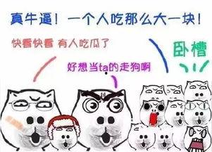 吃瓜群众高管,揭秘吃瓜群众眼中的高管众生相