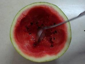 旬瓜怎么吃,解锁美味新境界