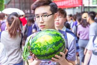 巩义吃瓜大赛,一场全民参与的夏日狂欢盛宴