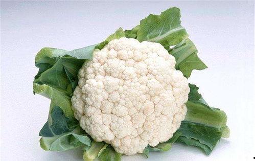 菜花夫妇吃瓜视频播放,揭秘娱乐圈幕后故事