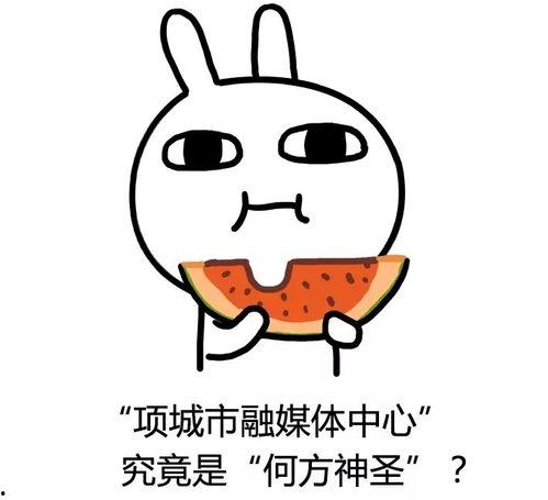 吃瓜小主完结,一场娱乐圈的狂欢盛宴