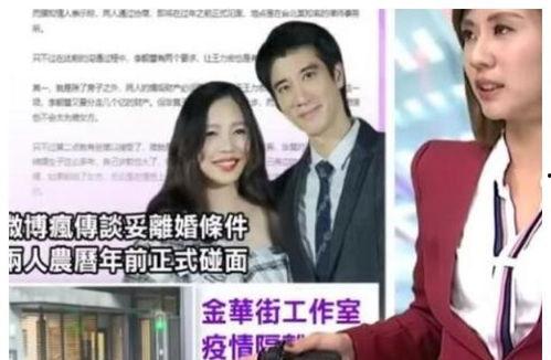 吃瓜小主完结,一场娱乐圈的狂欢盛宴