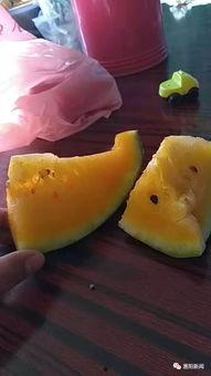 天信吃瓜,揭秘娱乐圈背后的那些事儿