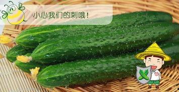 吃瓜就是吃瓜,揭秘网络时代的“吃瓜”现象