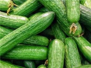 月子吃生瓜,揭秘为何不能吃生瓜