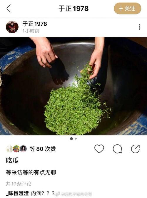 男绿茶吃瓜,揭秘网络社交中的“绿帽子”现象