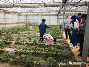 有缘的人吃瓜,那些命中注定的瓜界奇缘