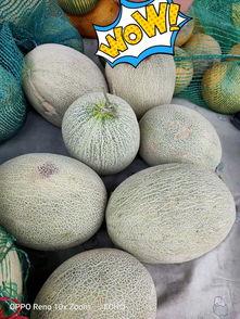 大清早吃瓜好吗,吃瓜群众如何开启欢乐的一天？