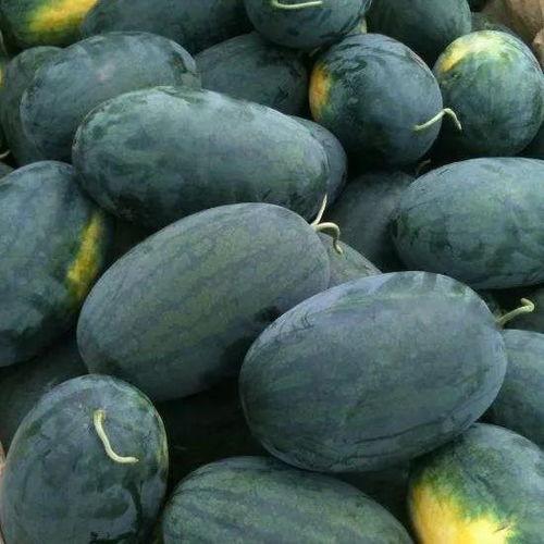 曦宝cj吃瓜,揭秘娱乐圈背后的惊人真相