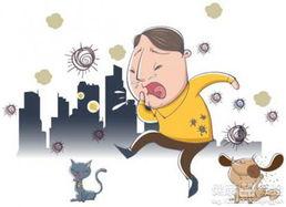 感冒发烧吃瓜好吗,感冒发烧期间吃瓜的利弊分析