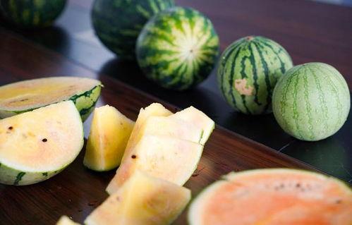 吃瓜黑皮,一场关于网络文化的深度探讨