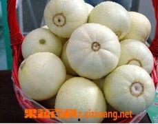 孕妇可以吃白皮瓜,白皮瓜的营养价值与食用指南