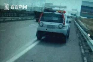 高速公路司机吃瓜,意外发现惊人秘密