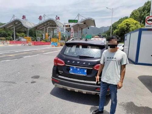 高速公路司机吃瓜,意外发现惊人秘密