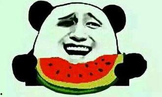 吃瓜出个坑,娱乐圈背后的坑与真相