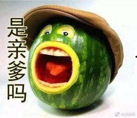 吃瓜出个坑,娱乐圈背后的坑与真相