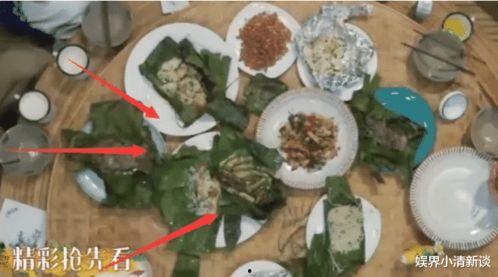 吃瓜金仔滤镜,揭秘吃瓜金仔滤镜下的娱乐圈风云