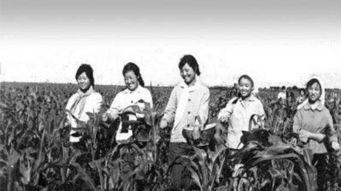 知青下乡吃瓜,知青下乡的甜蜜回忆